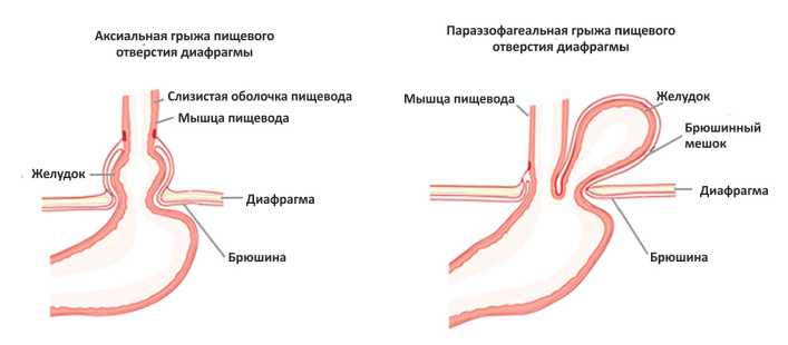 Изображение на обложке